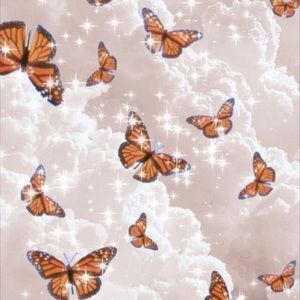 Meet your Posher, Abygale